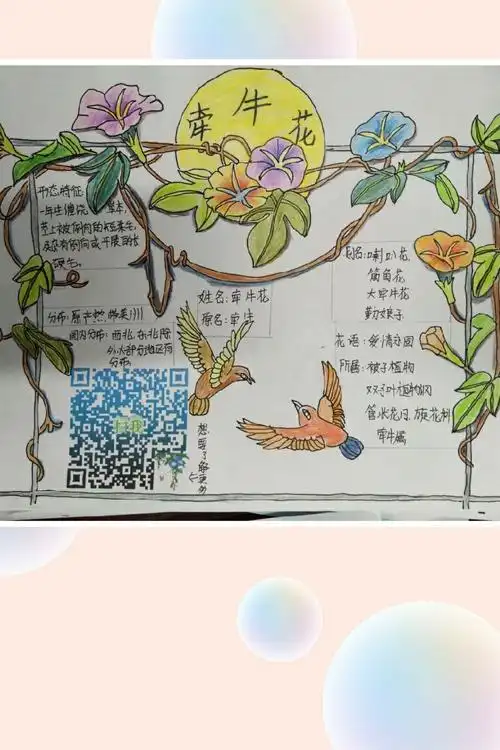 植物和人一样,也有属于自己的身份呢!