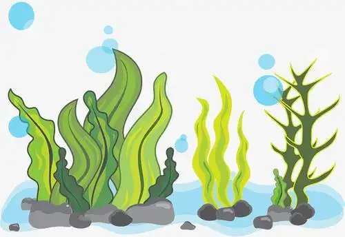 绿色海带剪纸教程