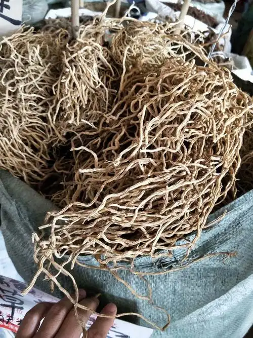 中药材牛尾菜 牛尾结 牛尾蕨 大伸筋草 每件500克