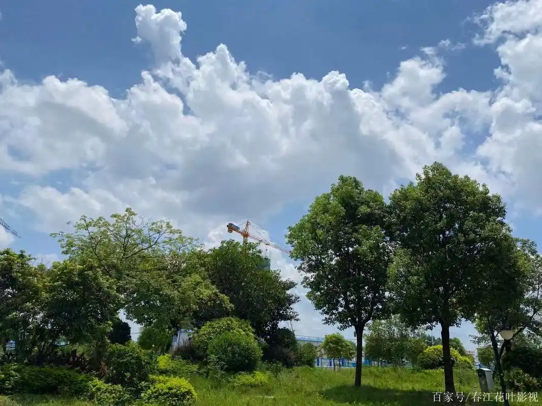远看是蔚蓝色的天空&远看是蔚蓝色的春天