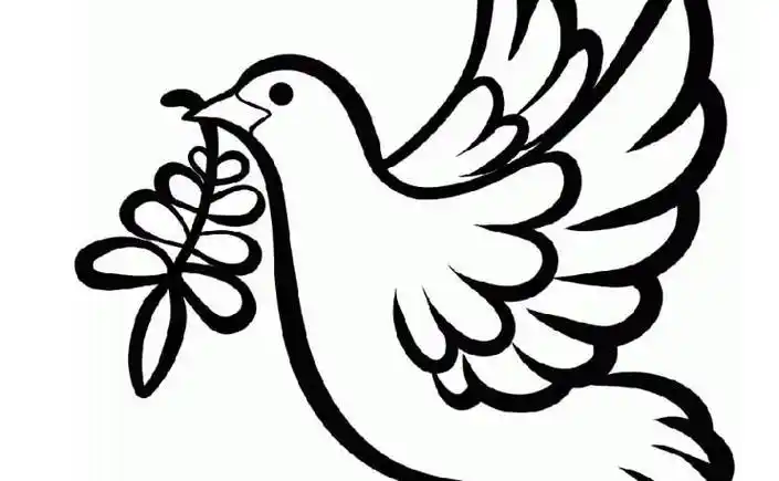 一笔画鸽子 一笔画鸽子的简笔画步骤