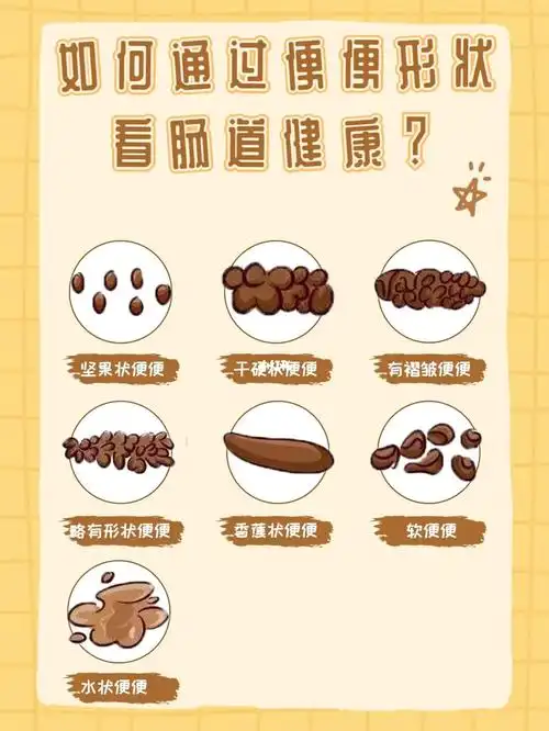 健康自查教你从便便形状看肠道健康状态