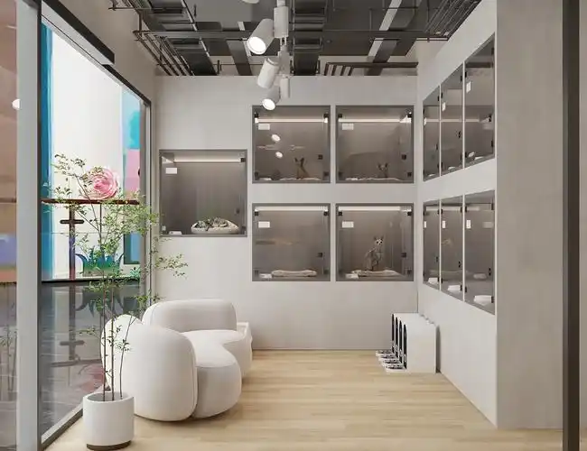 猫舍——给铲屎官们提供一个轻松愉悦的与猫互动的场所