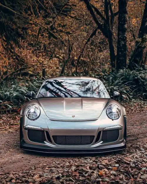 分享图片丨保时捷911carrera