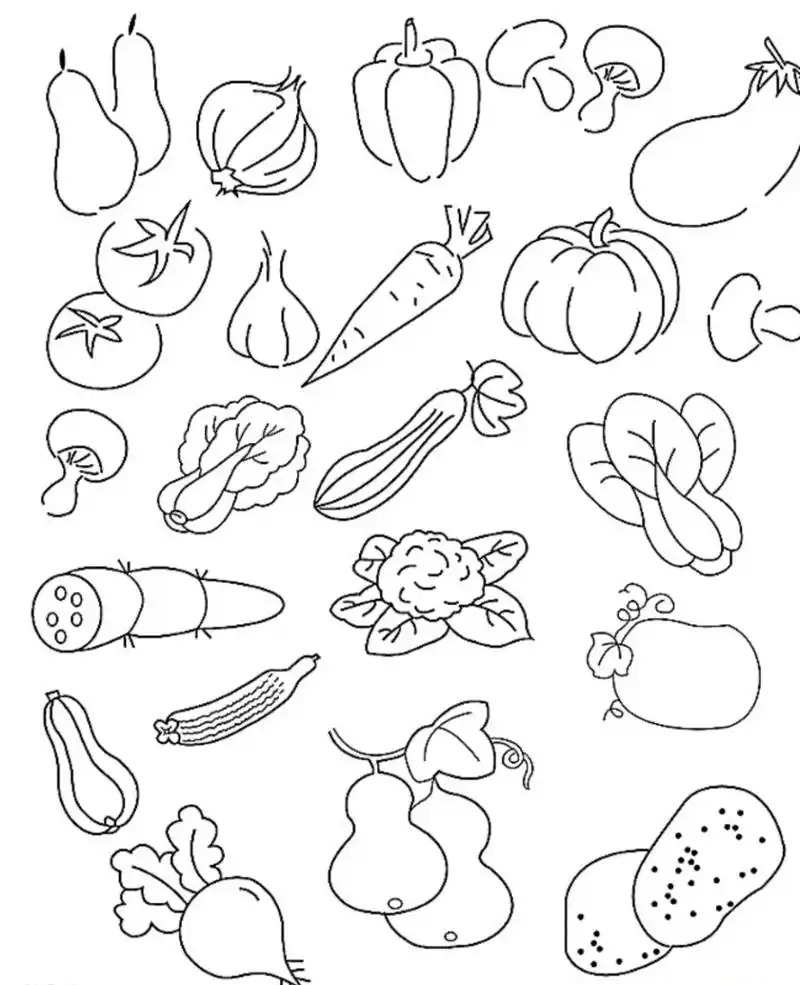 一盘青菜简笔画(一盘青菜的画法)