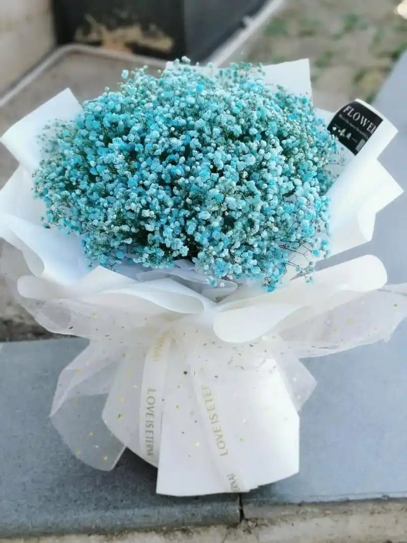 满天星花束图片,你就是我的满天欢喜 希望有一天 ,你喜欢的那个人捧着