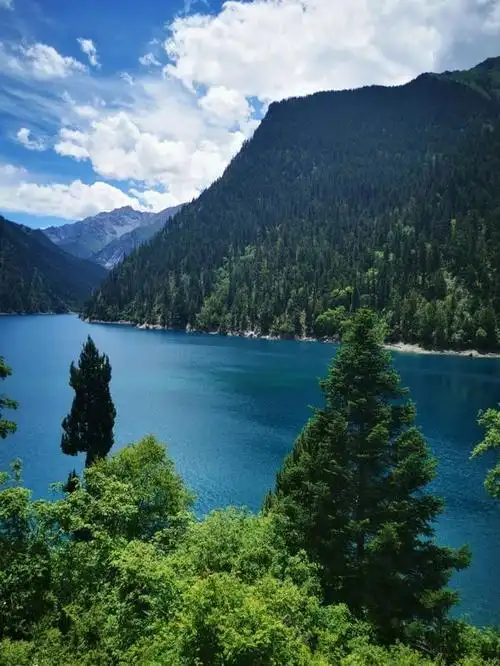 四川九寨沟风景区值得去一次这里的大自然公园不会让你失望