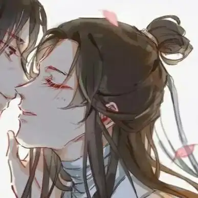 花城 谢怜情侣头像