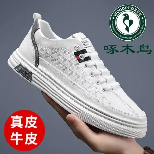 换季新品啄木鸟男鞋秋季新款软底板鞋男潮流百搭时尚休闲鞋子男真