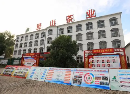 小茶叶大人生专访河南省政协常委全国十佳农民信阳市罗山县灵山茶业