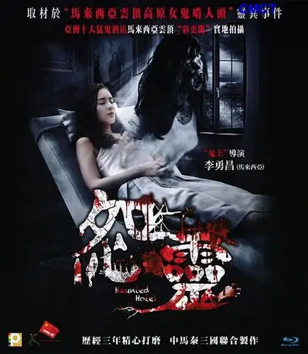 [bt下载][怨灵]haunted.hotel.2017.bluray.1080p.x264.