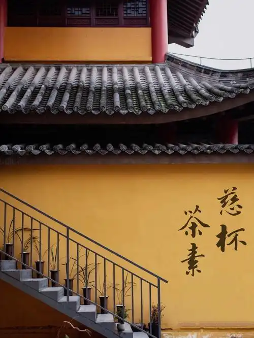 重庆隐谧山林的茶舍