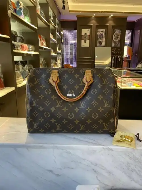lv  speedy30经典老花枕头包