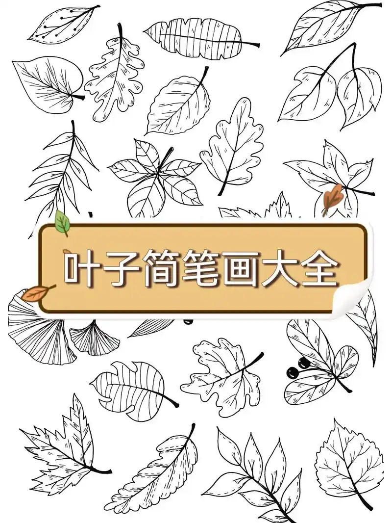 秋天树叶简笔画大全.#创作灵感 秋天树叶的多种画法简笔画来啦 - 抖音