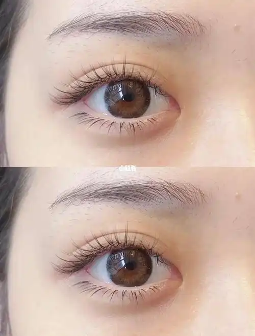 上门美睫日常 78 焦糖色上下睫毛即刻效果