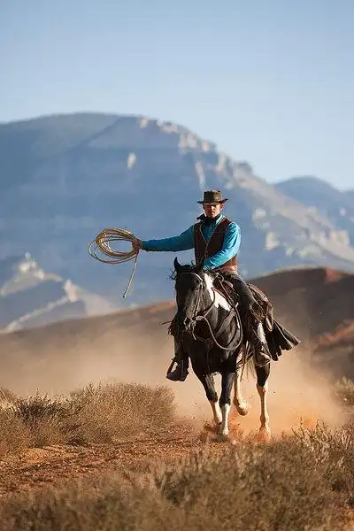 牛仔,绳索,骑,区域,马,怀俄明,美国