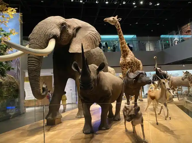 安吉自然博物馆