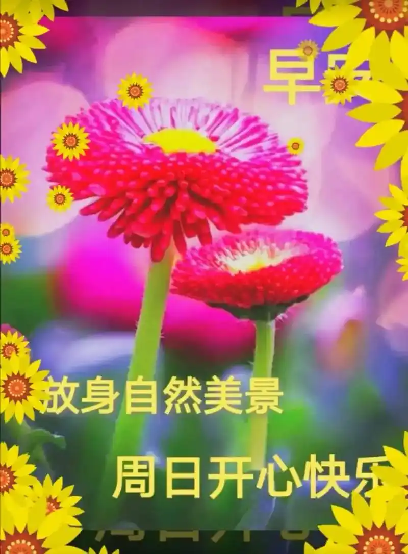 亲爱的早安吉祥.#希望我的作品给您带来最美的回忆与快乐 #感 - 抖音