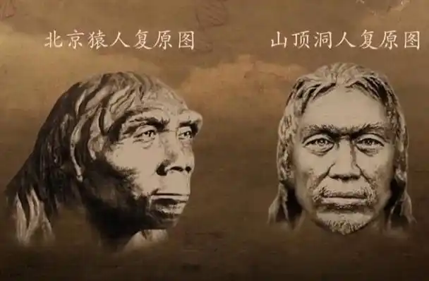 我们的祖先到底是山顶洞人还是北京猿人科学家给出了答案