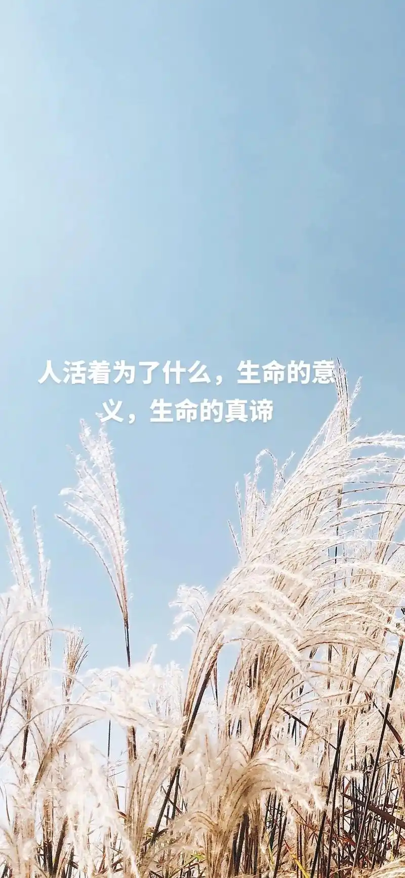 人生的意义到底是什么.#原创作品 #创作灵感  #很现实的人 - 抖音