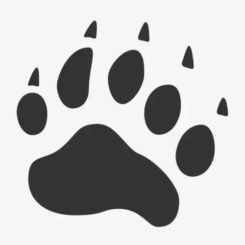 真相是……|脚印_网易订阅