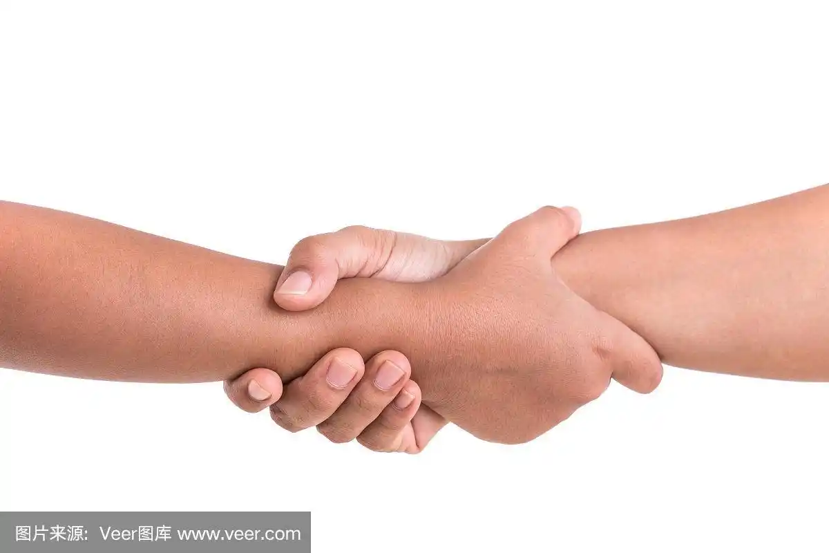 两只手握在一起.帮助或支持概念.孤立在白色