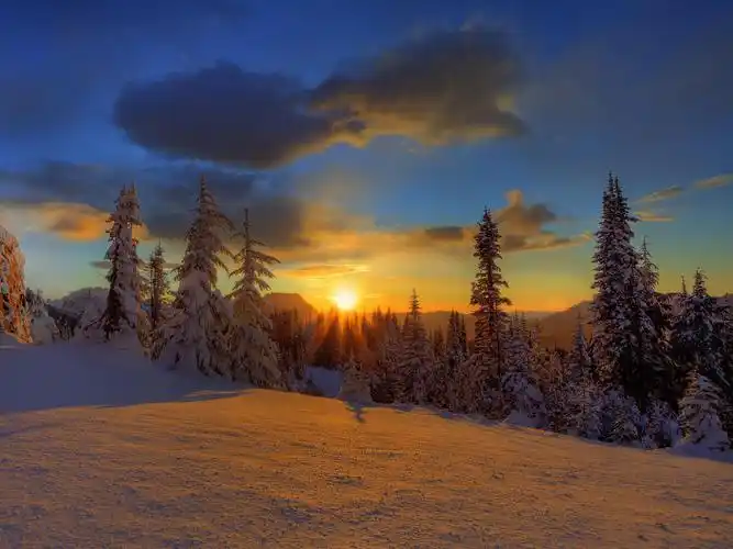 冬天,唯美,冬季,雪,冰天雪地,风景唯美冬天 壁纸图片