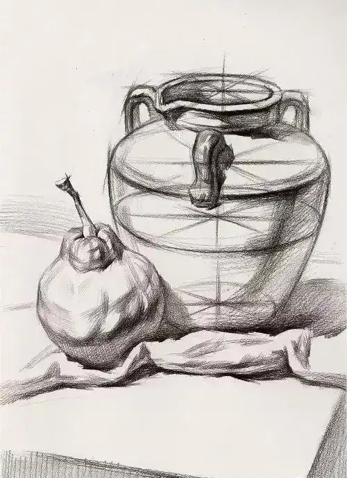 静物素描单体教程素描简单入门静物临摹