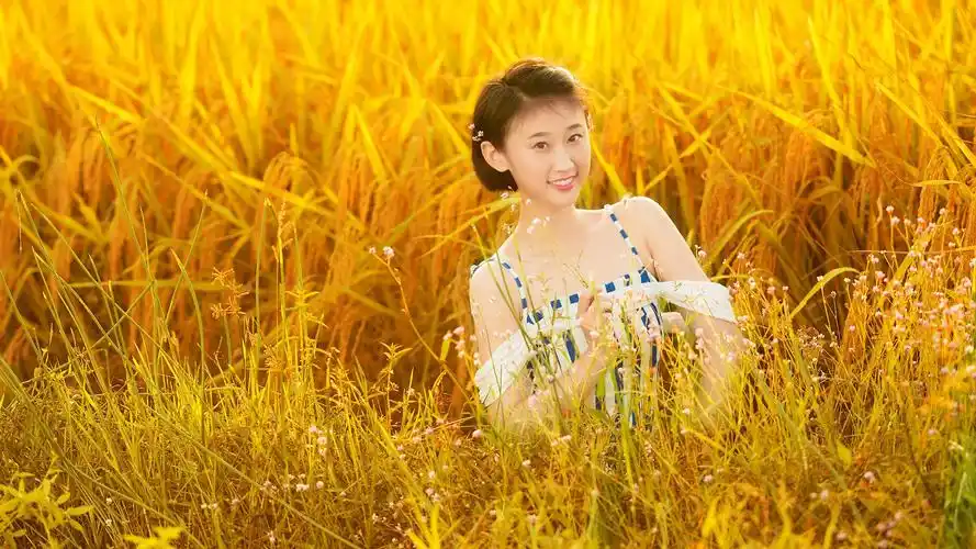 黄色暖色调美女田野写真