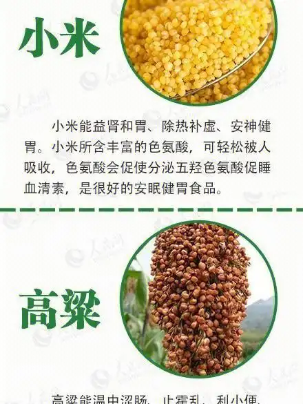 从小米,高粱到燕麦