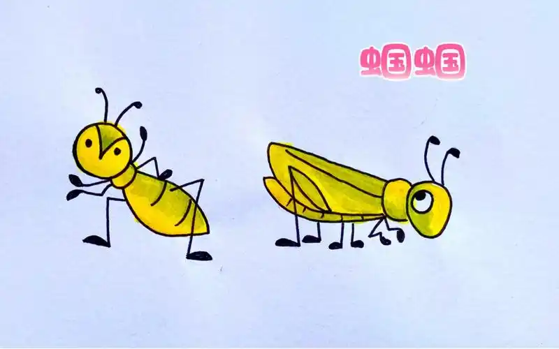 昆虫简笔画简单画蝈蝈