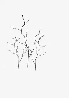 树倒下的简笔画