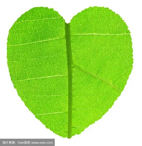 心形,带有绿色柚木叶片的纹理