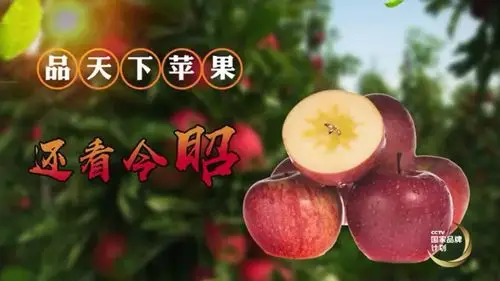 昭通苹果2019年元旦登陆央视8个频道