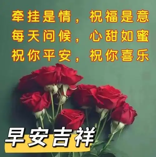 紧跟潮流的早安问候语每日更新暖入人心