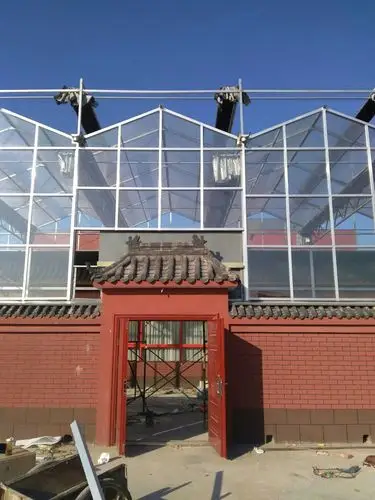 农村小院弄个温室大棚