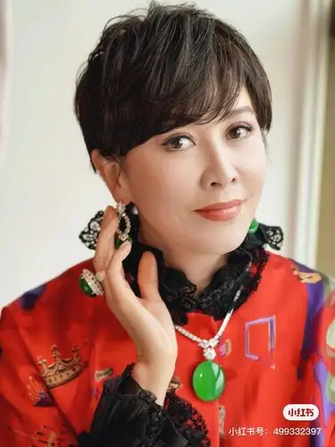 刘嘉玲的这一套翡翠好美,感觉价格会相当惊人