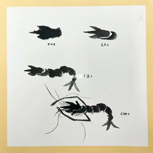 国画教程  #写意国画  #国画花鸟  #国画虾  #国画水墨虾  #国画入门