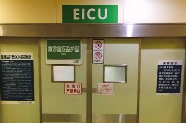 emergency intensive care unit