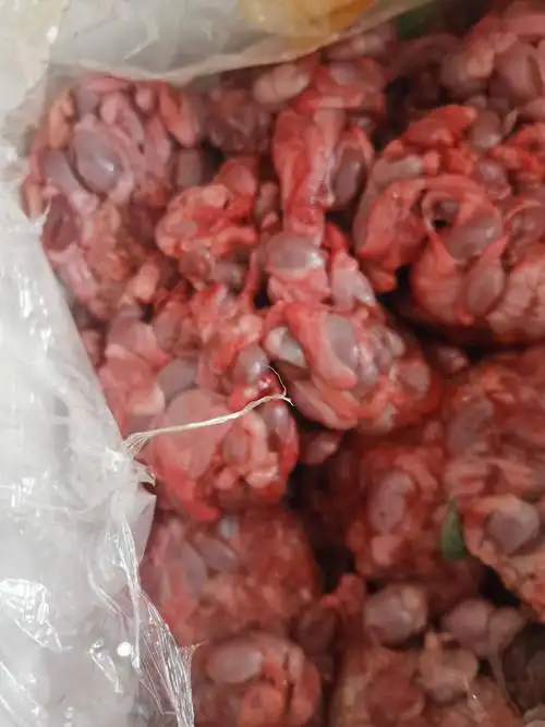 猪卵子 小猪蛋,猪睾丸,猪肾宝,头刀菜