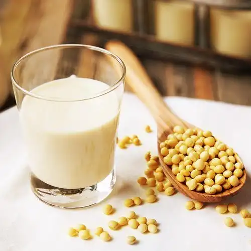 有机豆本豆奶250ml12盒整箱转基因大豆健康营养含乳饮料