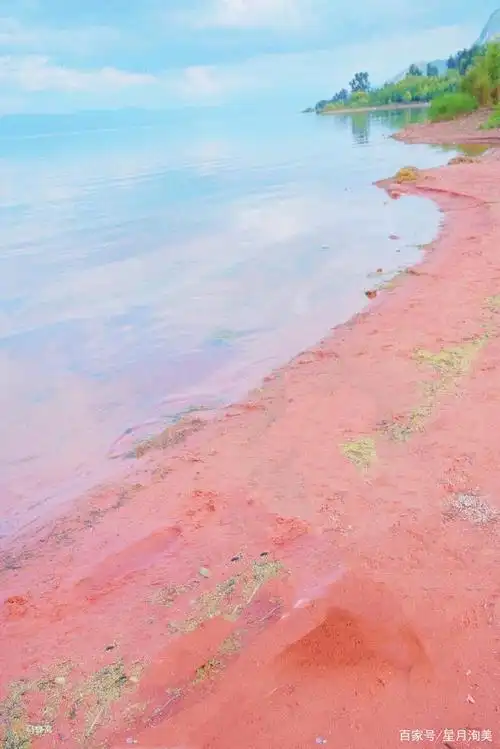 国内唯一的天然粉红沙滩,就在云南玉溪澄江抚仙湖