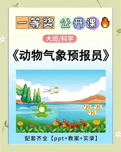 🌤️动物气象员:天气变化的小侦探🐦