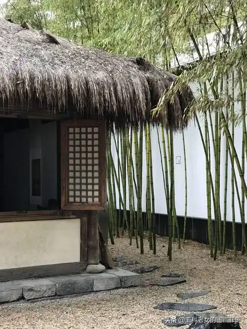 苏博最接近宋代文人雅居的小院落