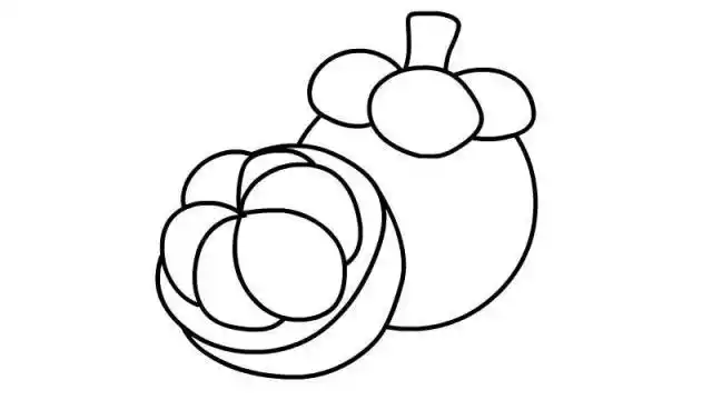 本文标题:山竹简笔画 山竹简笔画怎么画本文链接: https://www.daydx.