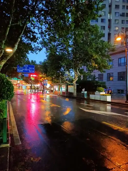 雨中夜景【首发】