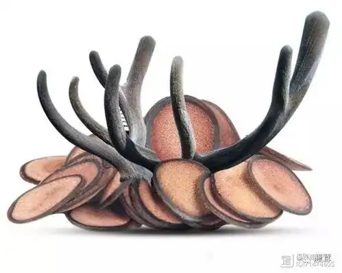 鹿茸是中药四宝中唯一的血肉有情之品.