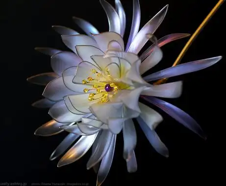 水晶花花语是什么不同颜色花语含义不同