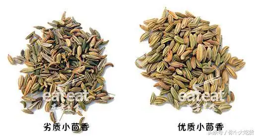 鉴别小茴香与孜然图