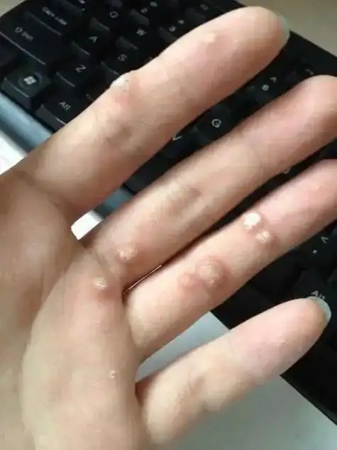 陈易玄##中国道家##中医养生